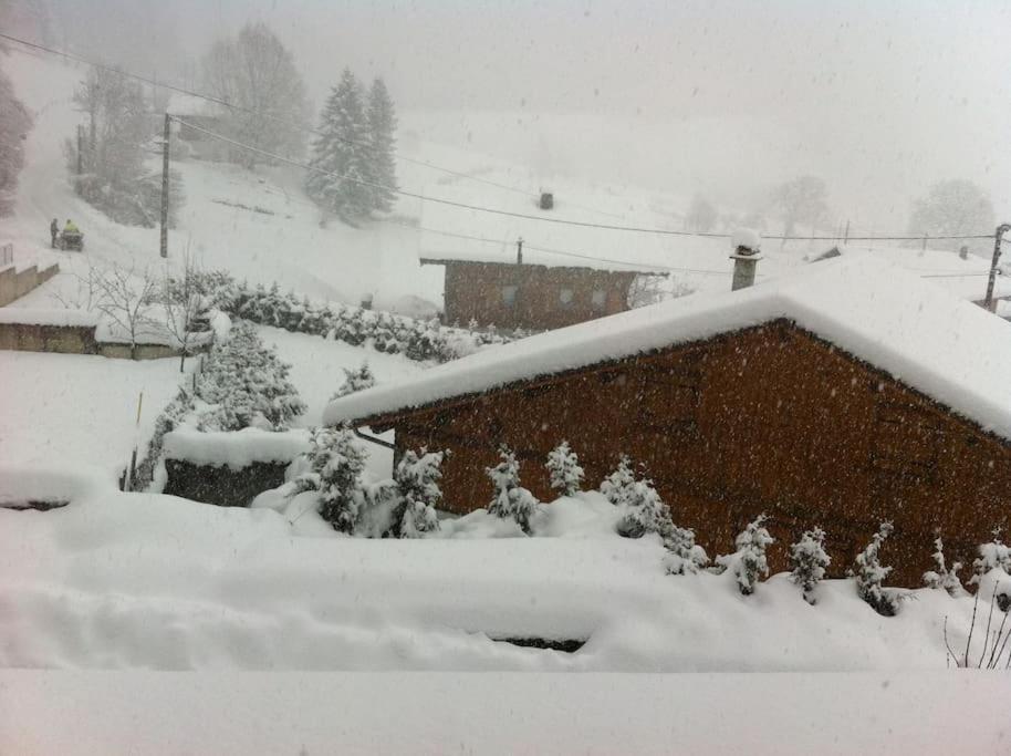 Dans Hameau, Pres Des Pistes Logement De Plein Pied Au Calme Taninges Luaran gambar