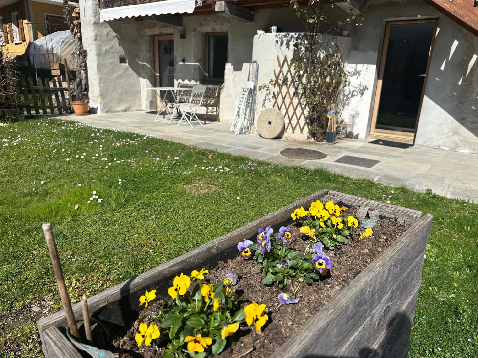 Dans Hameau, Pres Des Pistes Logement De Plein Pied Au Calme Taninges Luaran gambar